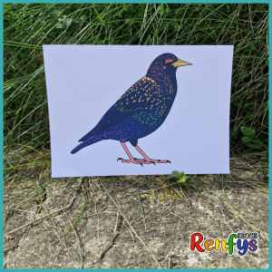 Starling Pride Print